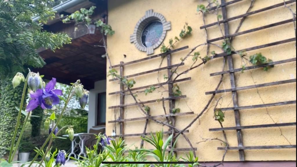 Ferienhaus Silvaner Naumburg  Zewnętrze zdjęcie